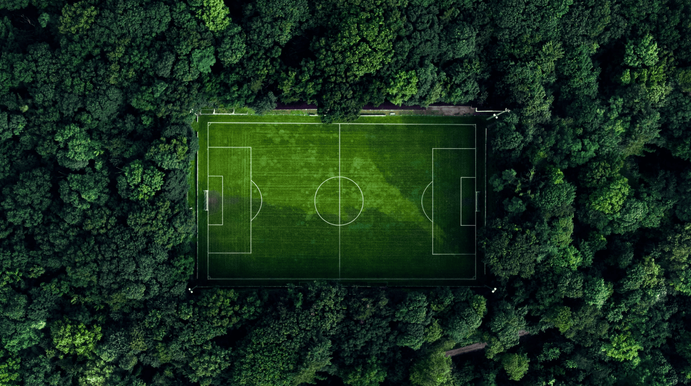 dc395e47-65f6-41ce-93ad-4d8b891ea81b