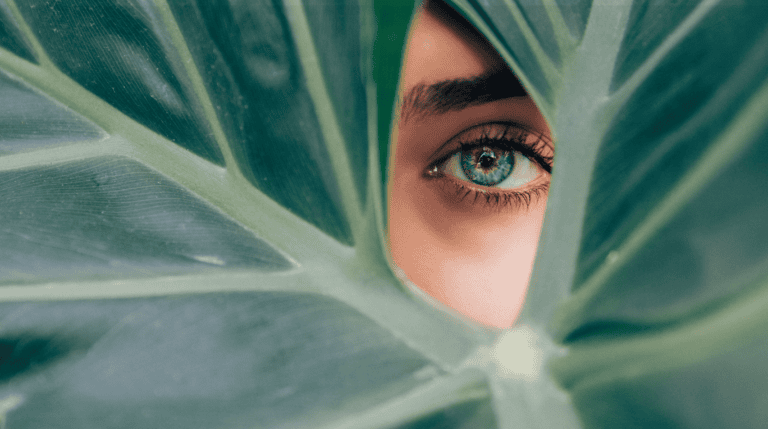 820a52ec-5f9e-4095-8c21-660ca5eb3006