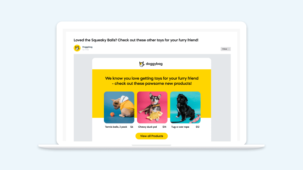 Bloomreach showing how their product can personalize a newsletter with items from a customer's favorite category