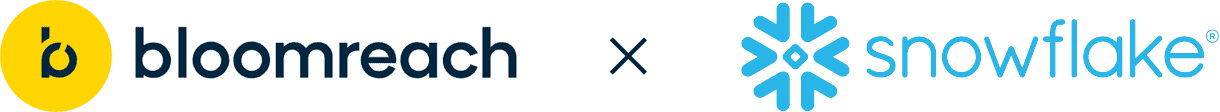 bloomreach-snowflake