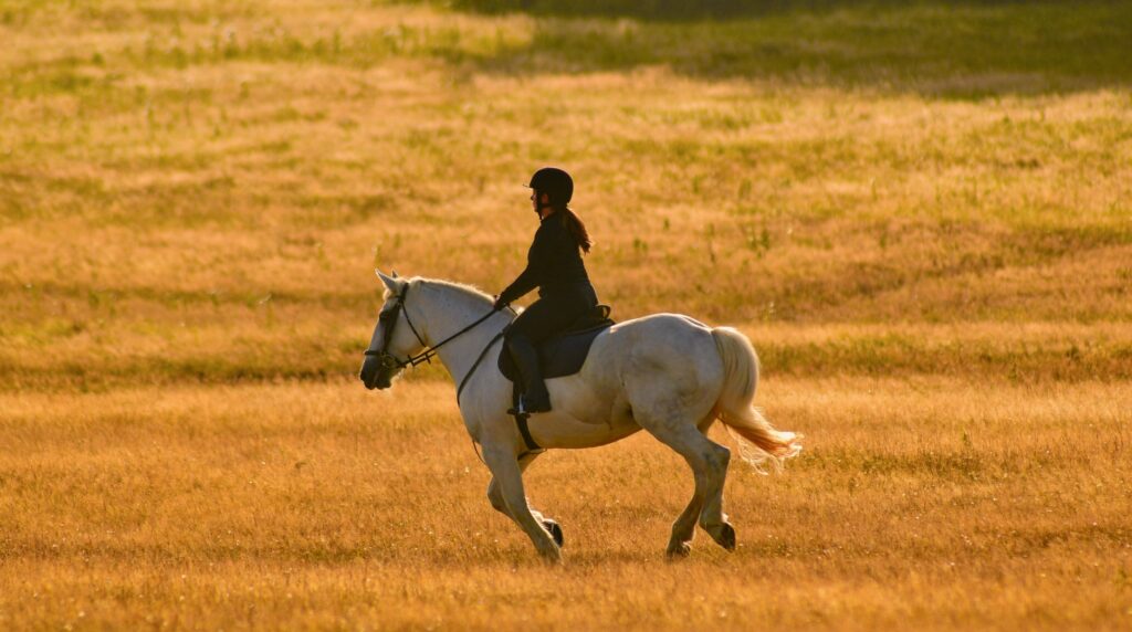 39983945-03e6-4b78-95f9-06589a051191